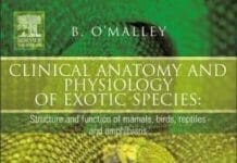 Clinical Anatomy and Physiology of Exotic Species: Structure and function of mammals, birds, reptiles, and amphibians pdf
