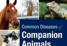 Common Diseases of Companion Animals, 3rd Edition pdf