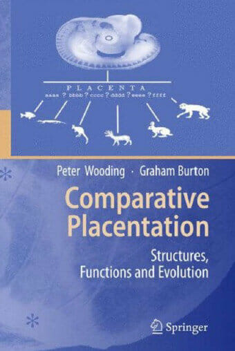 Comparative Placentation Structures, Functions and Evolution