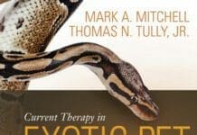 Current Therapy in Exotic Pet Practice PDF