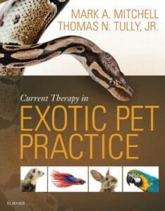 Current Therapy in Exotic Pet Practice PDF