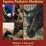 Equine Pediatric Medicine 2nd Edition PDF