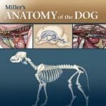 Miller's Anatomy of the Dog PDF