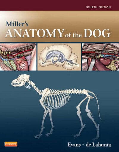 Miller's Anatomy of the Dog 4th Edition PDF | Vet eBooks Miller's Anatomy of the Dog 4th Edition PDF | Vet eBooks