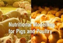 Nutritional Modelling for Pigs and Poultry PDF