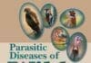 Parasitic Diseases of Wild Birds PDF