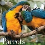 Parrots of the Wild: A Natural History of the World’s Most Captivating Birds PDF