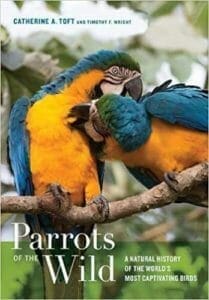 Parrots of the Wild: A Natural History of the World’s Most Captivating Birds PDF