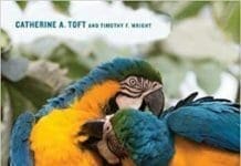 Parrots of the Wild: A Natural History of the World’s Most Captivating Birds PDF