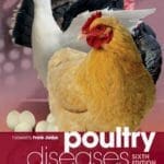 Poultry Diseases, 6th Edition pdf