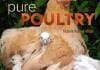 Pure Poultry: Living Well with Heritage Chickens, Turkeys and Ducks PDF
