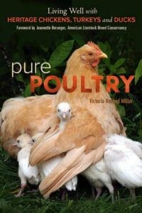 Pure Poultry: Living Well with Heritage Chickens, Turkeys and Ducks PDF
