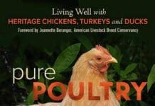 Pure Poultry: Living Well with Heritage Chickens, Turkeys and Ducks PDF