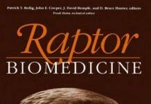 Raptor Biomedicine By Patrick T. Redig, John E. Cooper, J. David Remple and D. Bruce Hunter