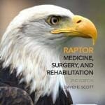 raptor-medicine,-surgery,-and-rehabilitation