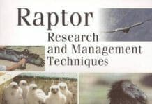 Raptor Research and Management Techniques pdf