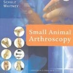 Small Animal Arthroscopy PDF
