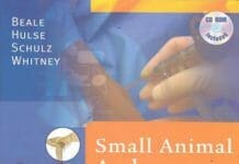 Small Animal Arthroscopy PDF