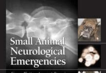 Small Animal Neurological Emergencies