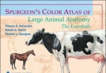 Spurgeon's Color Atlas of Large Animal Anatomy: The Essentials PDF