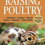 Storey’s Guide to Raising Poultry, 4th Edition Chickens, Turkeys, Ducks, Geese, Guineas, Game Birds PDF