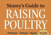 Storey’s Guide to Raising Poultry, 4th Edition Chickens, Turkeys, Ducks, Geese, Guineas, Game Birds PDF