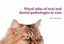 Visual Atlas of Oral and Dental Pathologies in Cats PDF