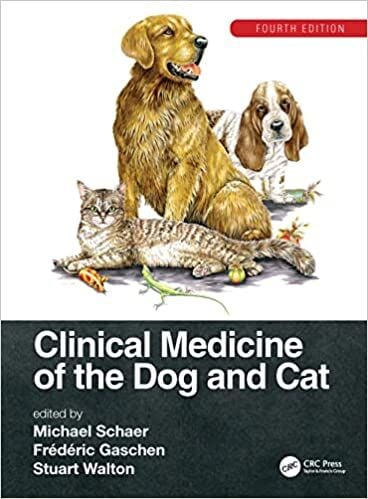 Clinical Medicine of the Dog and Cat 4th Edition pdf
