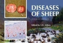 Diseases of Sheep 4th Edition By I. D. Aitken
