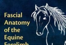 Fascial Anatomy of the Equine Forelimb pdf