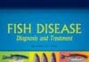 Fish Disease: Diagnosis and Treatment Second Edition PDF