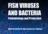Fish Viruses and Bacteria: Pathobiology and Protection PDF