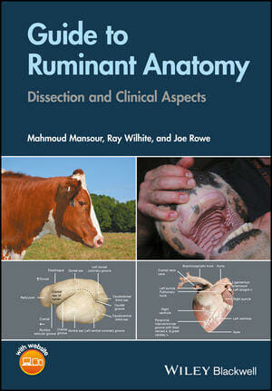 Animal Anatomy for Artists: The Elements of Form PDF | Vet eBooks