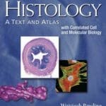 Histology a Text and Atlas: With Correlated Cell and Molecular Biology 7th Edition pdf