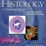 Histology: A Text and Atlas: With Correlated Cell and Molecular Biology 7th Edition pdf