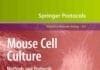 Mouse Cell Culture Methods and Protocols PDF