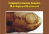 Muscles of Vertebrates: Comparative Anatomy, Evolution, Homologies and Development By Rui Diogo and Virginia Abdala