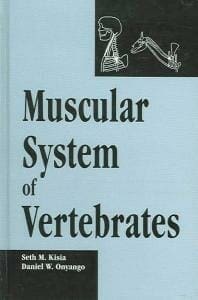 Muscular System of Vertebrates PDFsystem of vertebrates pdf