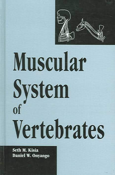 Muscular System of Vertebrates PDF