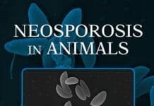 Neosporosis in Animals PDF Book