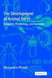 The Development of Animal Form: Ontogeny, Morphology, and Evolution PDF By Alessandro Minelli