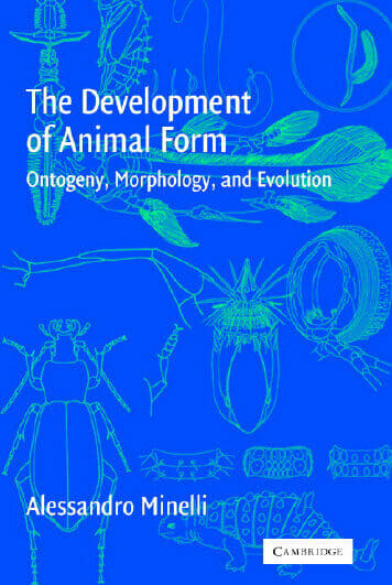 The Development of Animal Form: Ontogeny, Morphology, and Evolution PDF
