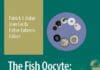 The Fish Oocyte From Basic Studies to Biotechnological Applications pdf