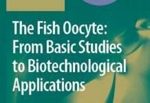 The Fish Oocyte From Basic Studies to Biotechnological Applications pdf