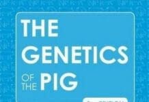 The Genetics of the Pig PDF By Max Rothschild and Anatoly Ruvinsky