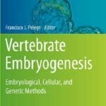 Vertebrate Embryogenesis: Embryological, Cellular, and Genetic Methods PDF