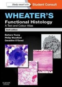 wheater's functional histology A Text and Colour Atlas 6th Edition By Barbara Young, Geraldine O'Dowd, Phillip Woodford