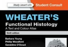 wheater's functional histology A Text and Colour Atlas 6th Edition By Barbara Young, Geraldine O'Dowd, Phillip Woodford