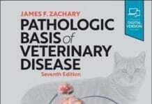 Pathologic Basis of Veterinary Disease, 7th Edition PDF Download