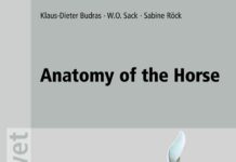 Anatomy Of The Horse 6Th Edition Pdf Download